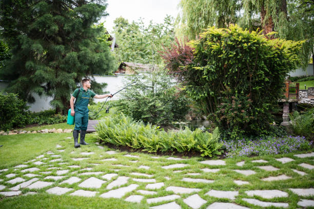 Trusted Helena Valley Southeast, MT Pest Control Experts