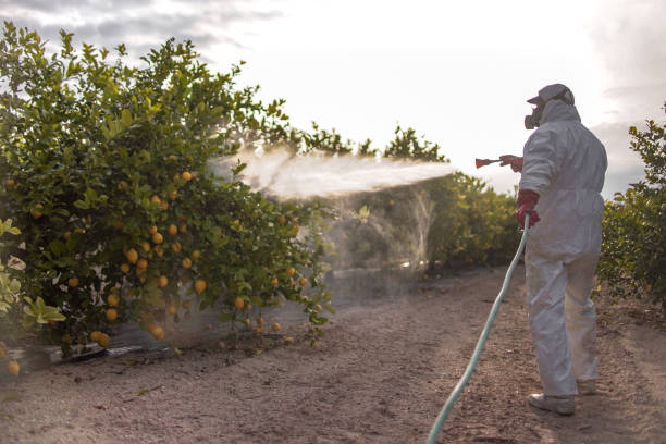 Pest Prevention Services in Helena Valley Southeast, MT