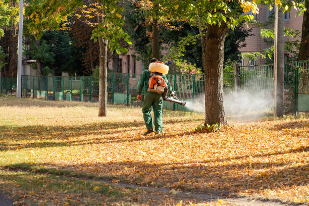 Best Local Pest Control Services  in Helena Valley Southeast, MT