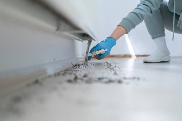 Best Best Pest Control Companies  in Helena Valley Southeast, MT